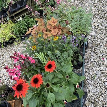 Lettuce Work Nursery - Nurseries & Gardening Near Me - New Albany, Ohio