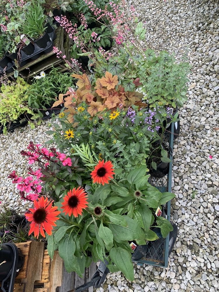 Lettuce Work Nursery - social services organization in New Albany, OH