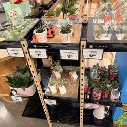Sprouts Farmers Market - Plants