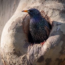 Queens Zoo