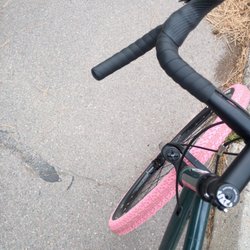 Spotted Dog Cycles