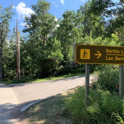 Bertha Lake Trail