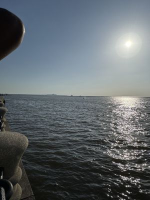 Voinovich Bicentennial Park by null