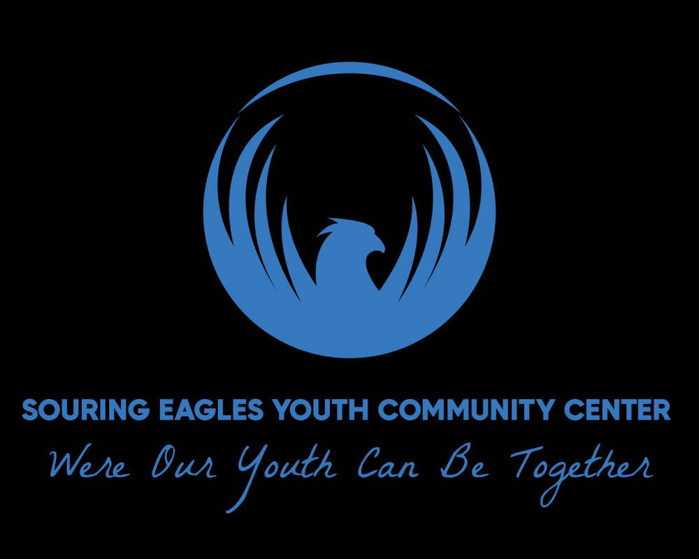 SOARING EAGLES YOUTH COMMUNITY CENTER Miami, Florida Community