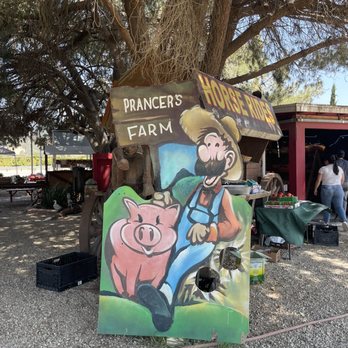 The Sunburst - Prancers Farm - Bike tours Near Me - Santa Paula, California The Sunburst - Prancers Farm - Bike tours Near Me - Santa Paula, California