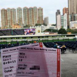 跑馬地馬場 - Where are the horses?