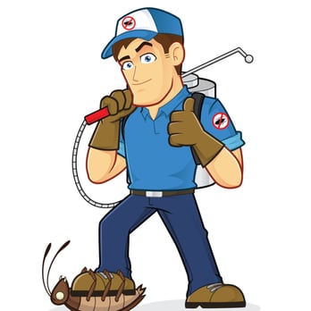 Kingsway Exterminating - Pest Control Near Me - Brooklyn, New York