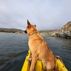 Little Harbor Kayaks