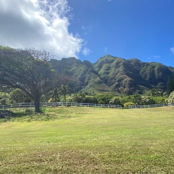 Kualoa Ranch - Tours Near Me - Kaneohe, Hawaii Kualoa Ranch - Tours Near Me - Kaneohe, Hawaii