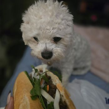 Vinh’s Banh Mi and Cafe - Vietnamese Near Me