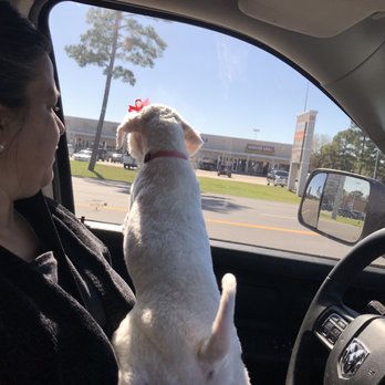 Spoiled Mutts - Pet Groomers Near Me - Humble, Texas