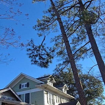Timber In Systems - Tree Services Near Me - Keithville, Louisiana Timber In Systems - Tree Services Near Me - Keithville, Louisiana