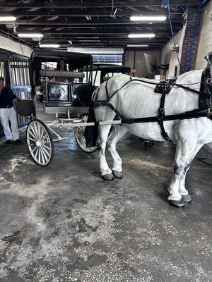 Palmetto Carriage Works by null