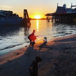World's End - Pup friendly.