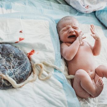 Trinity Midwifery - Doulas Near Me - Holland, Massachusetts