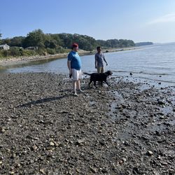 Dog friendly (and Adult children )