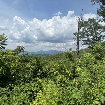 Roaring Fork Motor Nature Trail - Hiking Near Me