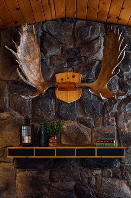 Denali Cabins - Denali National Park by null