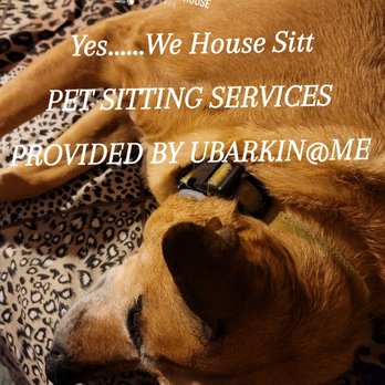 U Barkin At Me - Pet Groomers Near Me U Barkin At Me - Pet Groomers Near Me