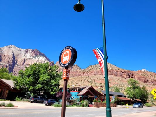 Whiptail Grill by null