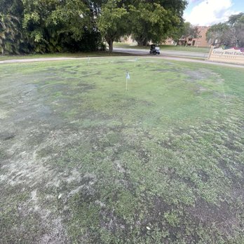 Colony West - Greens - Golf Near Me - Tamarac, Florida
