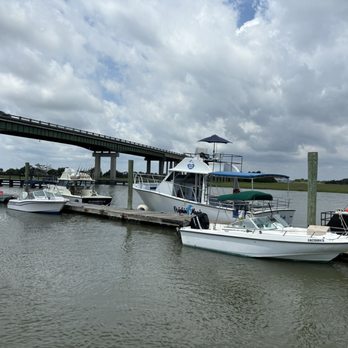 Capt. Derek's Dolphin Adventure On Tybee - Boating Near Me - Tybee Island, Georgia Capt. Derek's Dolphin Adventure On Tybee - Boating Near Me - Tybee Island, Georgia