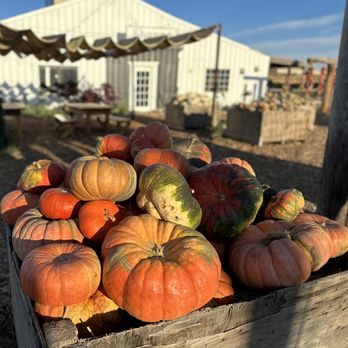 The Kinlands - Farmers Market Near Me - Riverton, Utah