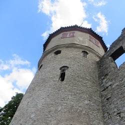 Ruine Honberg