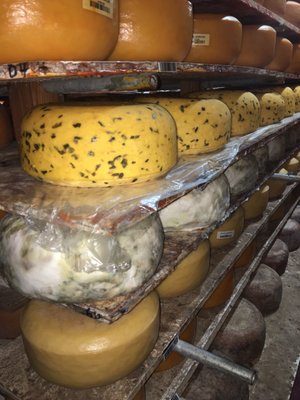 Veldhuizen Cheese Shop by null