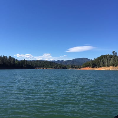 Antlers Resort and RV park by null