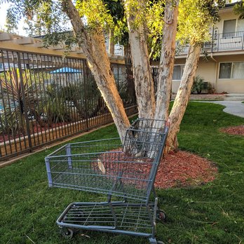 Walnut Heights Apartments - Apartments Near Me - Walnut, California Walnut Heights Apartments - Apartments Near Me - Walnut, California