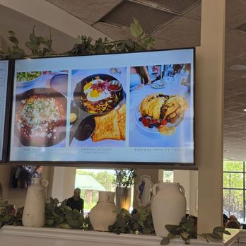 Eliá Café - Greek Near Me - Park Ridge, Illinois Eliá Café - Greek Near Me - Park Ridge, Illinois