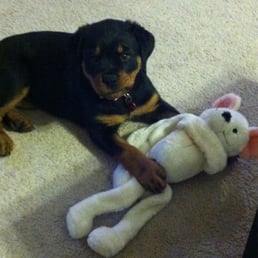 She loves her mouse doll! She loves her mouse doll!