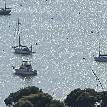 Two Harbors Campground - Sailboats in Cat. Harbor. - Campgrounds Near Me - Two Harbors, California