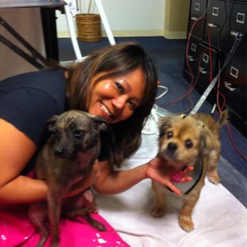 KHON2 - Oahu SPCA doggie makeover every other Tuesday with Cocojor to find a forever home - Television Stations Near Me - Honolulu, Hawaii KHON2 - Oahu SPCA doggie makeover every other Tuesday with Cocojor to find a forever home - Television Stations Near Me - Honolulu, Hawaii