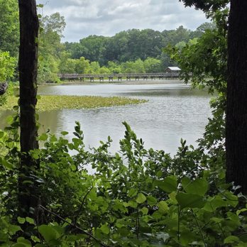 Historic Yates Mill County Park - The trail by the lake - Parks Near Me - Raleigh, North Carolina Historic Yates Mill County Park - The trail by the lake - Parks Near Me - Raleigh, North Carolina