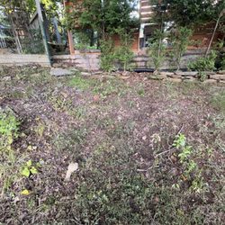 Lang's Lawn Care