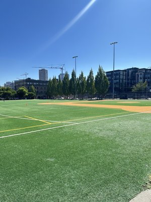 Cal Anderson Park by null