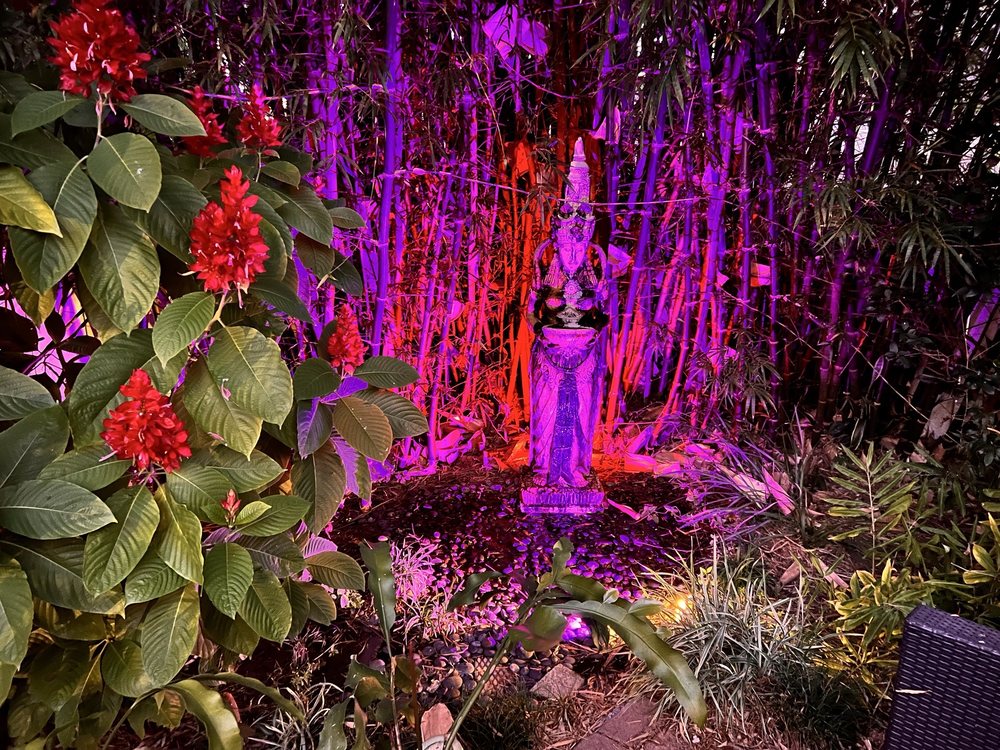 CT Stump Grinders - tree service in Longwood, FL