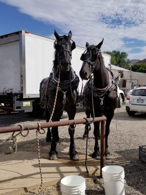 Clark Family Orchards by null