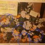 Photo of Kim's Flower Shop