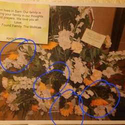 Kim's Flower Shop - Why would they put these flowers in a funeral arrangement like this.