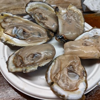 Faidley's Seafood - Oysters (local) they're GINORMOUS - Seafood Markets Near Me - Baltimore, Maryland