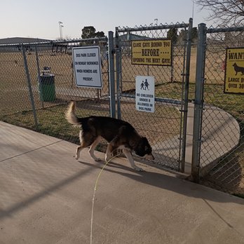 Waggin’ Trail Beal Dog Park - Young lady heading for the gate - Dog Parks Near Me - Midland, Texas Waggin’ Trail Beal Dog Park - Young lady heading for the gate - Dog Parks Near Me - Midland, Texas
