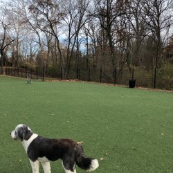 Schwarz Street Dog Park - Side view of fence with cute dog for bonus