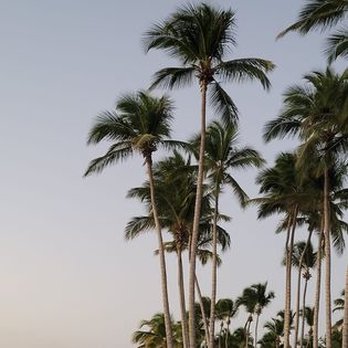 Escape By Travel - Dominican Republic - Travel Services Near Me - Cloquet, Minnesota Escape By Travel - Dominican Republic - Travel Services Near Me - Cloquet, Minnesota