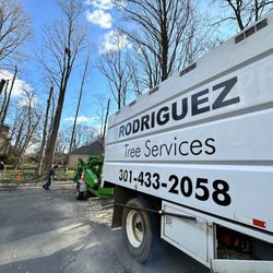 Rodriguez Tree Services - Professional equipment