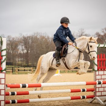 Beat the Odds Training - Horseback Riding Near Me - Leesburg, Virginia Beat the Odds Training - Horseback Riding Near Me - Leesburg, Virginia