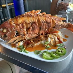 Whole Snapper Whole Snapper