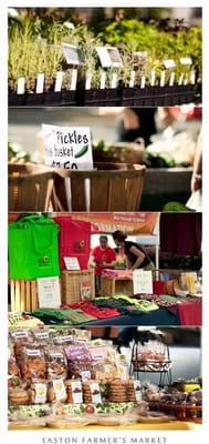 Easton Farmers' Market by null